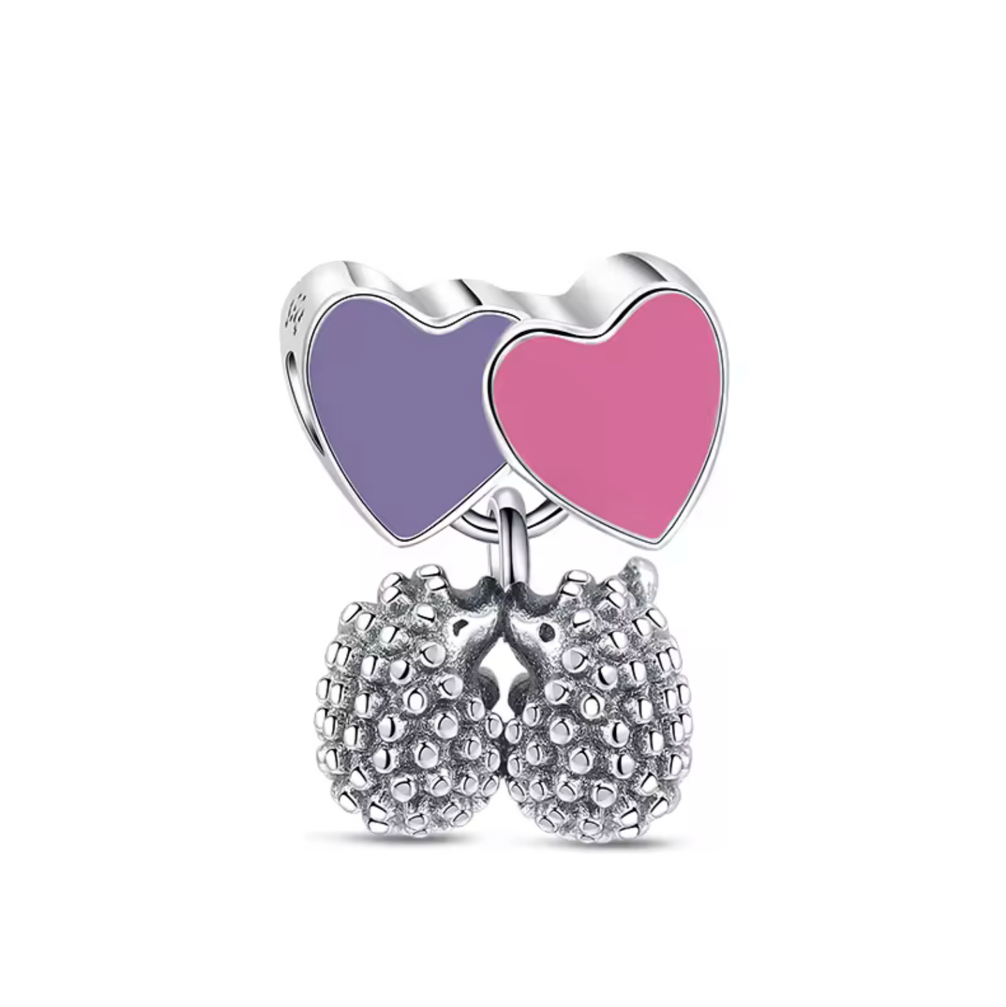 Charm Erizos
